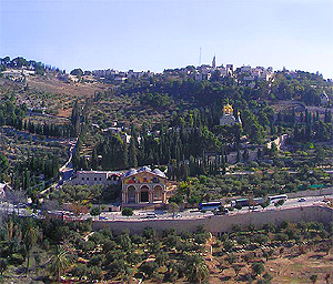 Il monte degli ulivi a Gerusalemme
