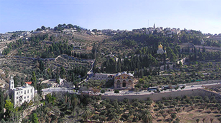 Il Monte degli ulivi: accanto alla Basilica delle nazioni c'è il Getsemani